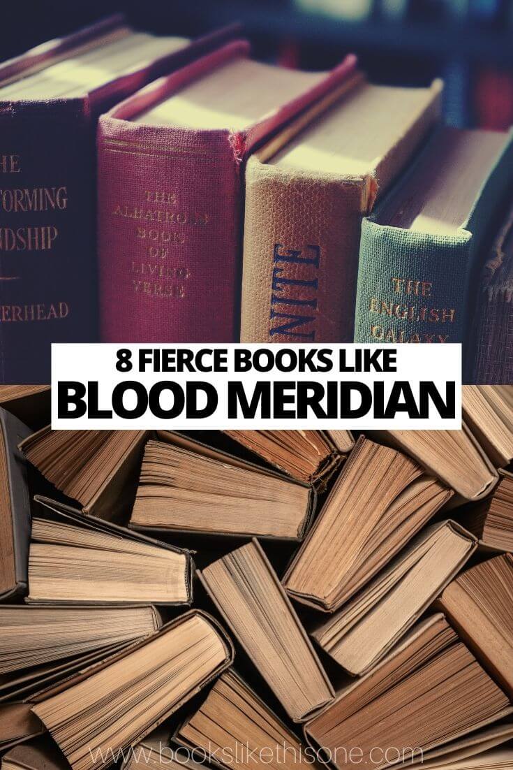 Books Like Blood Meridian